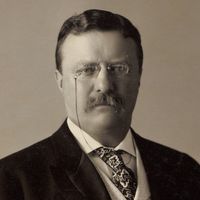 Theodore Roosevelt