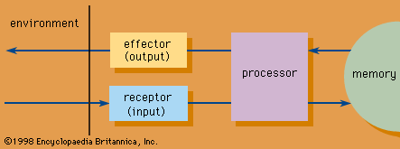 Structure of an information system