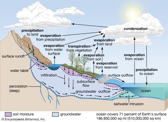 hydrologic cycle