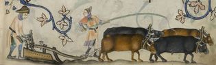 Luttrell Psalter