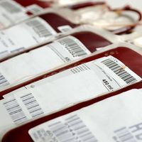 Transfused Human blood in storage