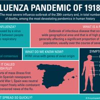 Infographic on the Influenza Pandemic of 1918-19