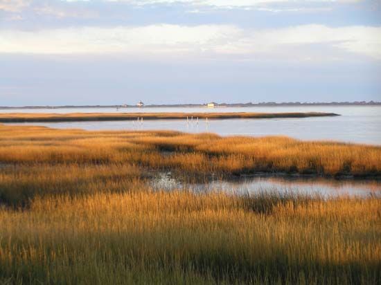 Chincoteague National Wildlife Refuge