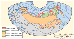 boreal forests: Eastern Hemisphere