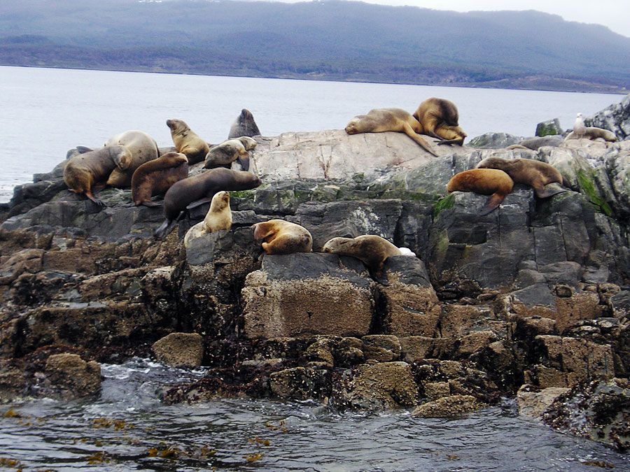 Tierra del Fuego