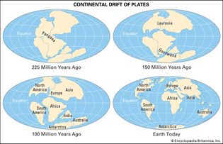 continental drift