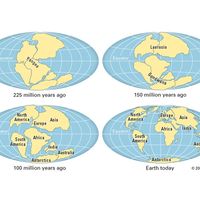 Actual continental drift of plates. Thematic map.