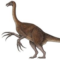 Therizinosaurus, theropod, dinosaur