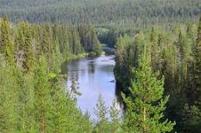 Oulanka National Park, Finland: coniferous forest