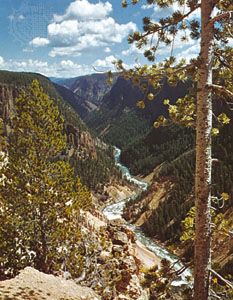 Yellowstone River