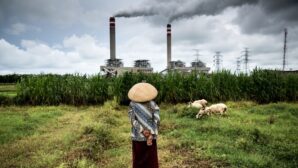 Can Indonesia find alternatives to replace coal?