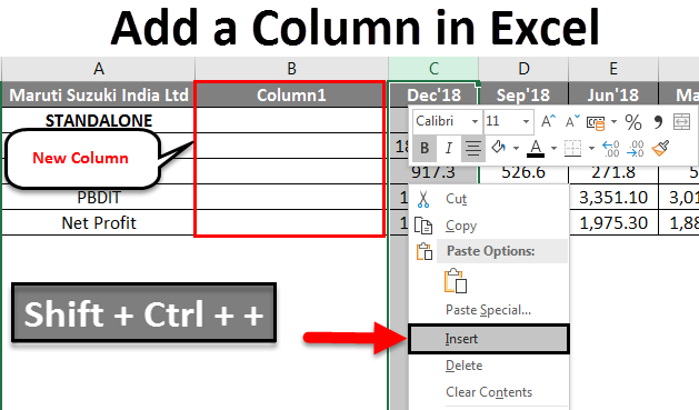 Add a Column in Excel