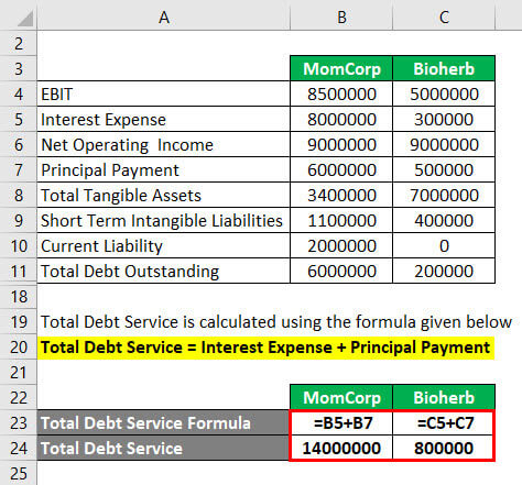 Calculation of Total Debt Service Example 3