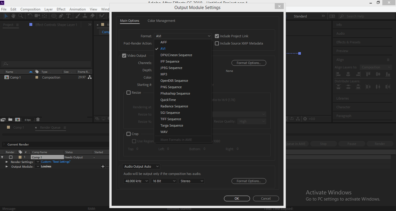 AVI - Exporting Project