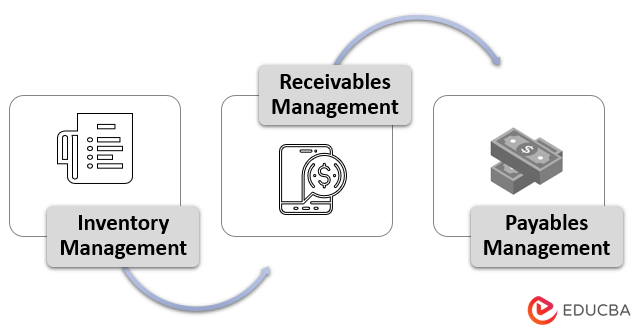 Roles and Functions 