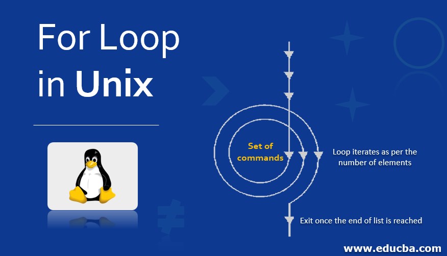 For Loop in Unix