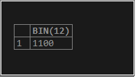 MySQL BIN() output 1