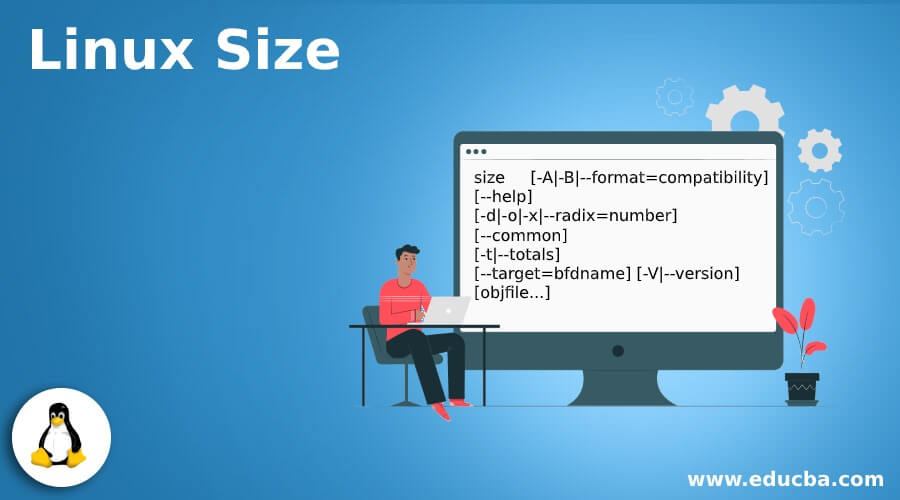 Linux Size