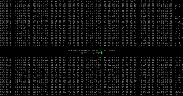 Linux hex editor output 1.2