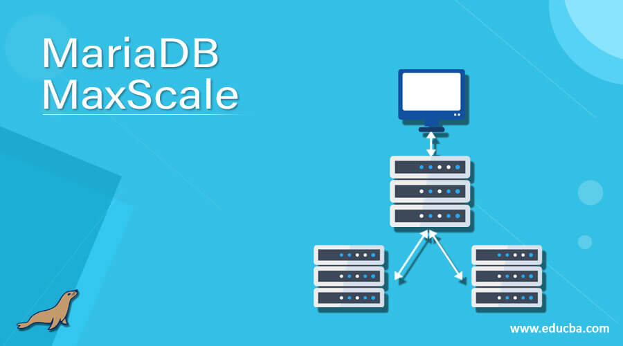 MariaDB MaxScale