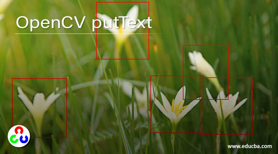 OpenCV putText