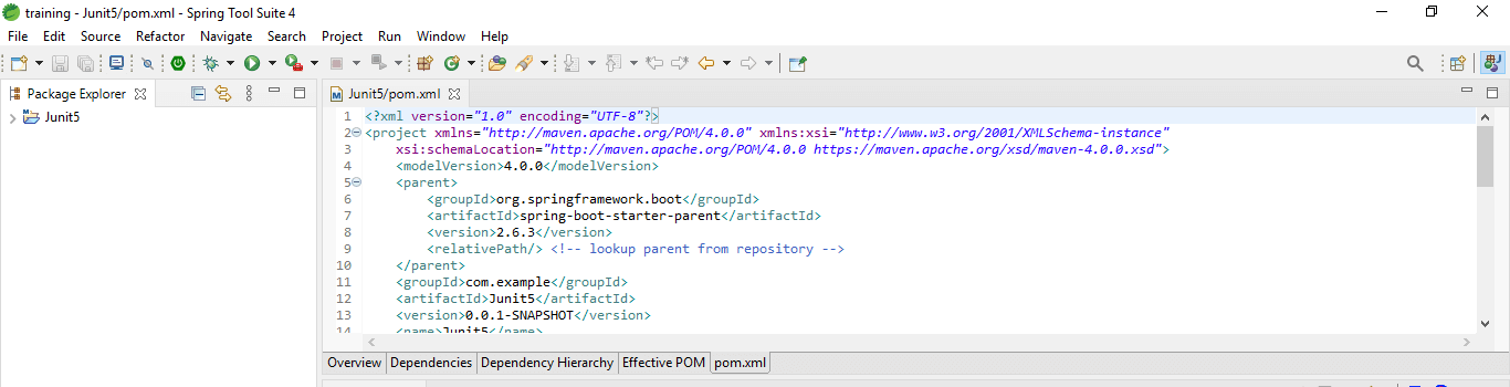 JUnit 5 Parameterized Test 3