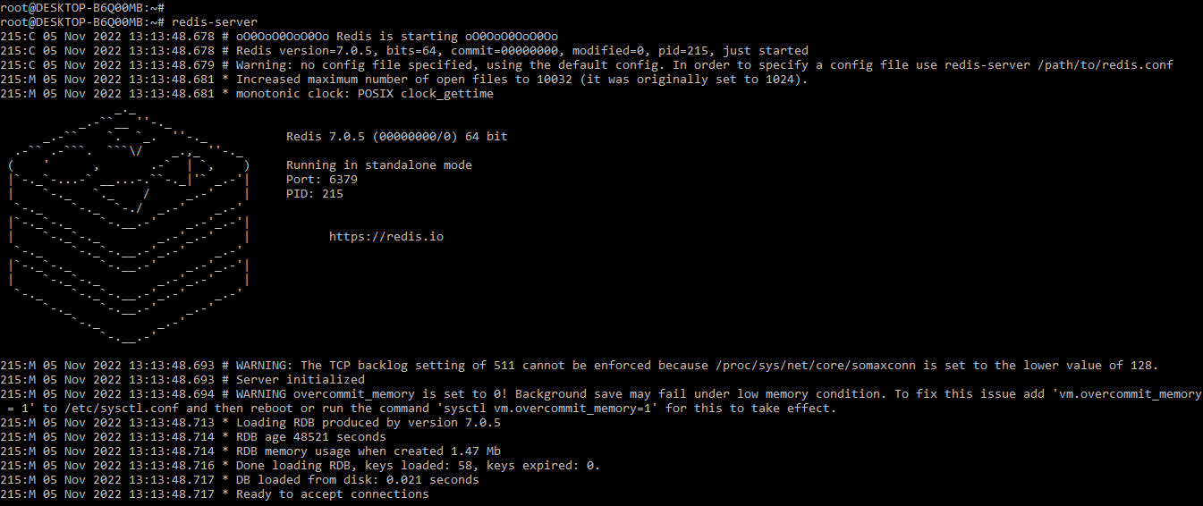 Redis INCR Connections