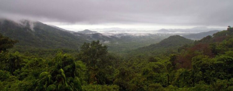 Bhagwan Mahavir Wildlife Sanctuary