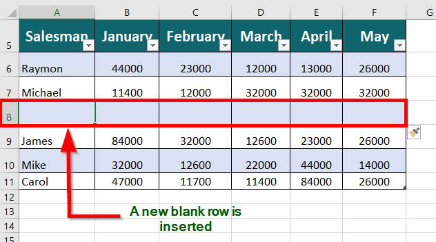 Insert a Row within a Table blank row added