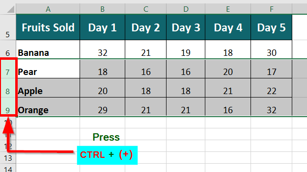 Insert Multiple Rows Using a Shortcut Key step 2