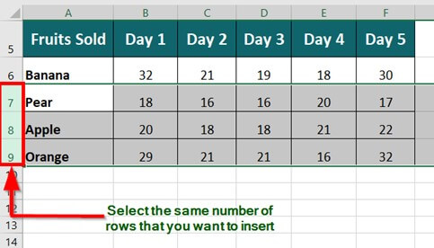 Insert Multiple Rows Using a Shortcut Key step 1