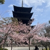 京都:東寺「空海」考。西本願寺「親鸞」考。夕食は藤原先生夫妻との食事会。