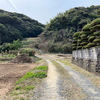 桜京古墳（付近） 福岡県宗像市牟田尻