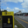 沖縄本島一周歩き旅・９日目（道の駅やんばるパイナップルの丘安波→道の駅サンライズひがし）