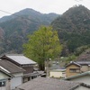 「だんだんロード」花の植え替え！