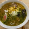 城南金ちゃんラーメン。