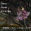 2023.03.29水曜日の夜ノル