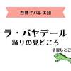 ラ・バヤデール各踊りの見どころ　谷桃子バレエ団2025年新春公演の予習