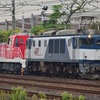 第984列車　「　甲113 JR貨物DD200-2の甲種輸送を狙う　」