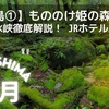 【鹿児島①-1】もののけ姫の森へ！～白谷雲水峡徹底解説＆ＪＲホテル屋久島泊～