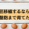 不妊治療07 胚移植をするなら受精卵を胚盤胞まで育ててからにしたいのが本音ですが