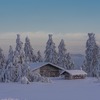 深い哀悼と共に…60代の従兄・雪の事故に胸が痛む #雪事故