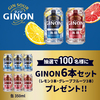  【８/２８　10:00】アサヒビール GINON6本セットが当たる！アンケートキャンペーン【 オープン  / LINE 】