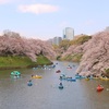 江戸城（皇居）周辺の歩き方　お花見編