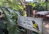 与太郎小日記「タイの野鳥カフェ Bird Coffee」