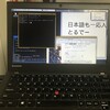 Qubes OS 4.0 を Lenovo Thinkpad X250 にインストールしてみた