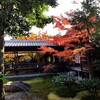 【京都】祇園、『建仁寺』に行ってきました。 京都紅葉 京都観光 そうだ京都行こう 