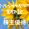 【株主優待】ミニストップで特盛ソフトを注文～３８８円×５回無料で１９４０円お得に～