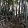 【犬連れ日帰りドライブ】【都筑中央公園】【茅ヶ崎城址公園】 神奈川 横浜