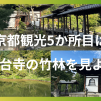 1日で9か所の何食べロケ地を巡る京都旅！5か所目は高台寺の竹林を眺めよう！